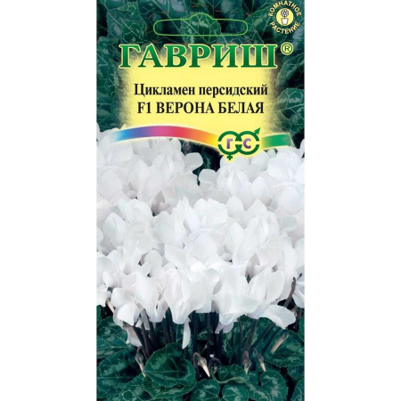 КОМ Цикламен Персидский Верона белая Гавриш Ц 