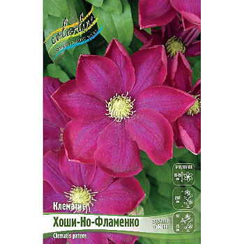 Клематис Хоши-Но-Фламенко I 25 шт Биг-пак 3107 