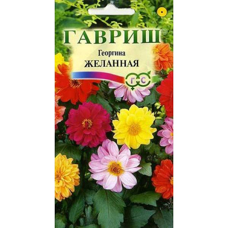 Георгин Желанная Гавриш Ц 