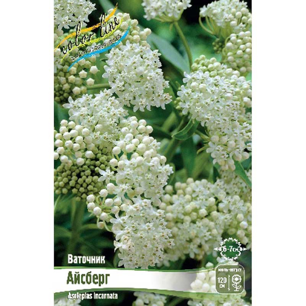 8338 Биг-Пак Ваточник Айсберг I 25 шт 