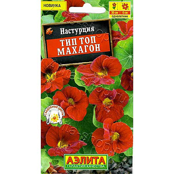 Настурция Тип Топ махагон Аэлита Ц 