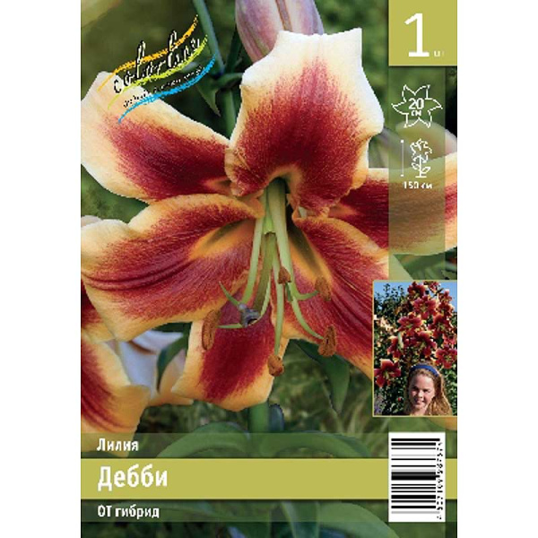 Лилия Дебби 12/14 1 Эконом шт 