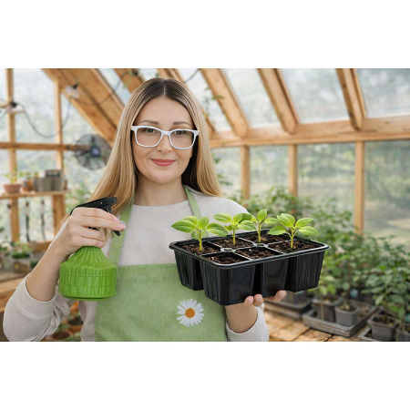 Кассета для рассады мини 6 ячеек 18*13*6,5 см АМИх900 
