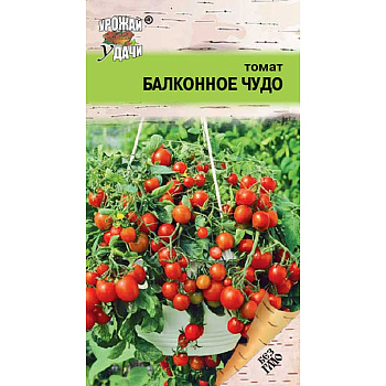 Семена Томат Балконное чудо Урожай у дачи