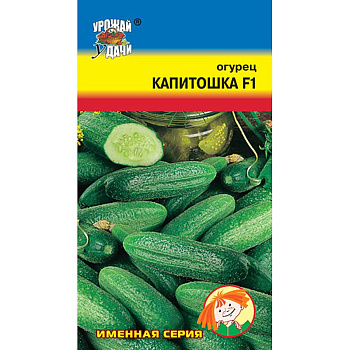 Огурец Капитошка Урожай у дачи Ц