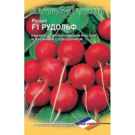 Редис Рудольф (Голландия) Гавриш Ц