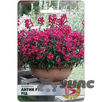 Антирринум Антик F1 Ред Биотехника Ц 