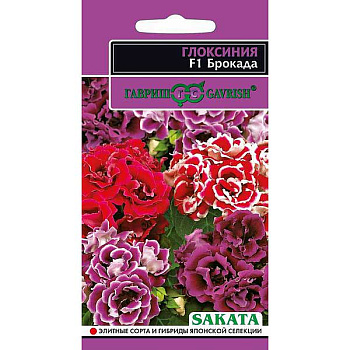 КОМ Глоксиния Брокада  гранул Гавриш Ц 