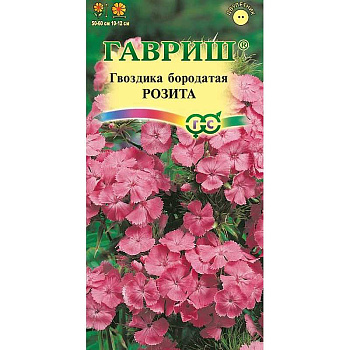 Гвоздика турецкая Розита  Гавриш Ц 