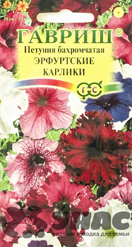 Петуния Эрфутские карлики Гавриш Цх10 