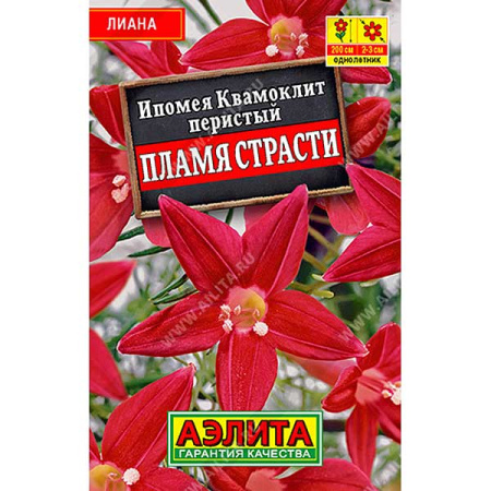 Ипомея Квамоклит Пламя страсти "Лидер" Аэлита Ц 