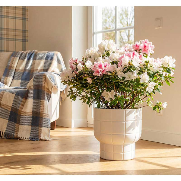 Кашпо КАРЕ D280мм 7,8л со вставкой белый М3259 х1 