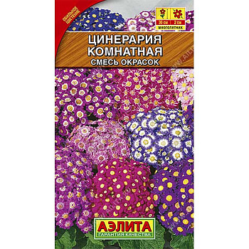 КОМ Цинерария смесь Аэлита Ц 
