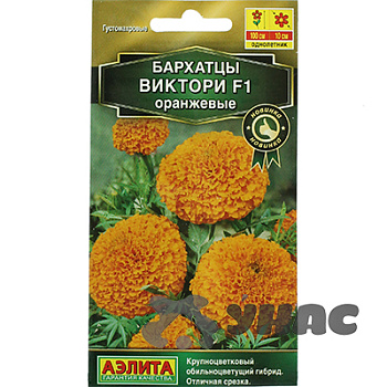Бархатцы Виктори оранжевые прямостоячие Аэлита Ц 