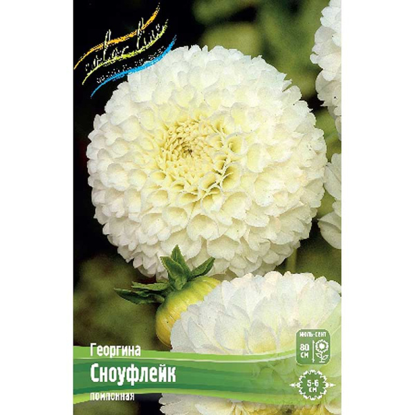 Георгина Сноуфлейк I 1 шт