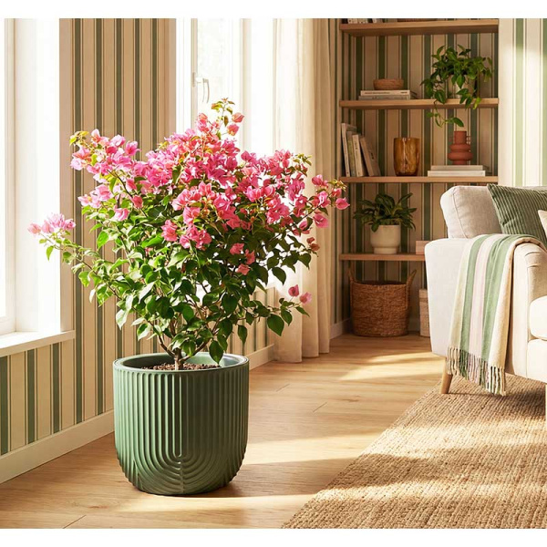 Кашпо РАМОНА D280мм 7,8л со вставкой нефритовый М3263 х1 