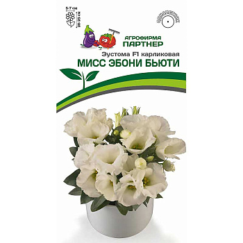 Эустома Мисс Эбони Партнер Ц 