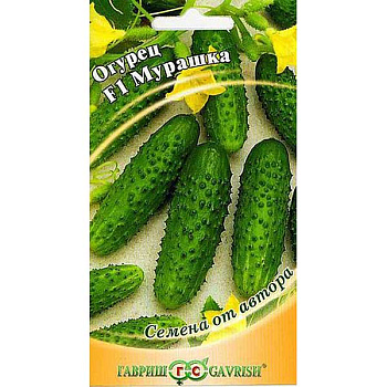 Огурец Мурашка Гавриш Ц