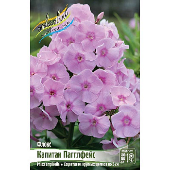 8344 Биг-Пак Флокс Капитан Пагглфейс I 25 шт