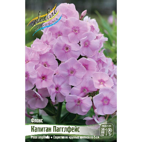 8344 Биг-Пак Флокс Капитан Пагглфейс I 25 шт