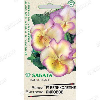 Виола Виттрока Великолепие лиловое Гавриш Ц 