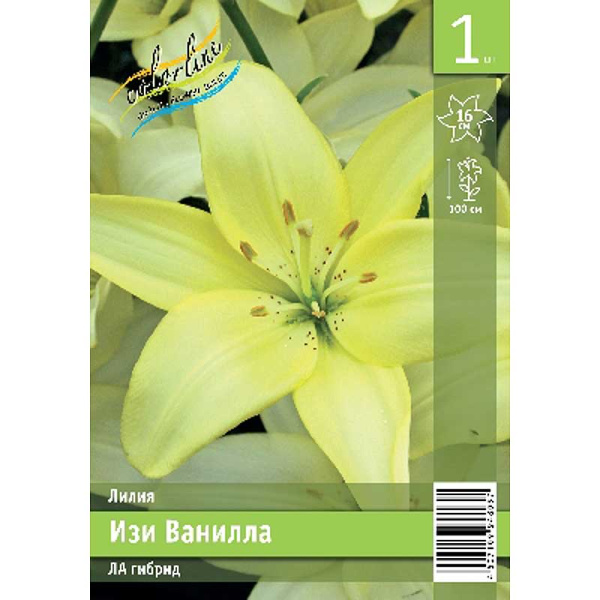 Лилия Изи Ванилла 12/14 1 Эконом шт