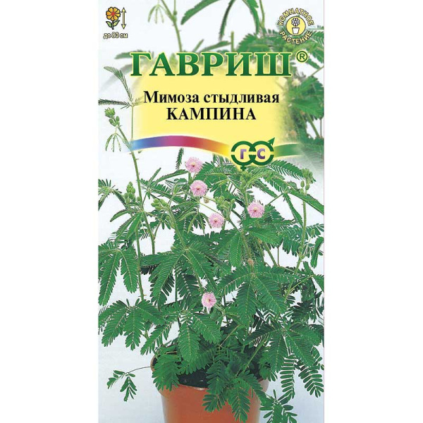 КОМ Мимоза стыдливая Кампина  Гавриш Ц 