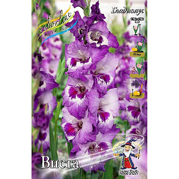 Гладиолус Виста 10/12 10 шт