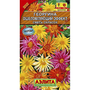 Георгин Ошеломляющий эффект смесь Аэлита Ц 
