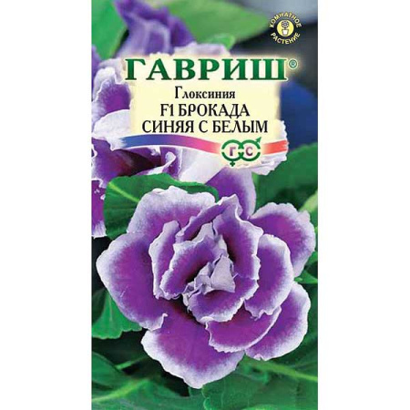 КОМ Глоксиния Брокада синяя с белым гранул Гавриш Ц 