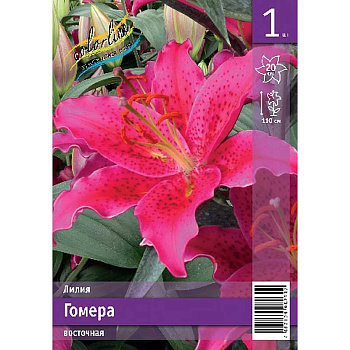 Лилия Гомера 13/14 1 Эконом шт