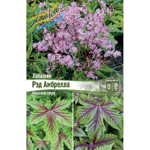 Лабазник Рэд Амбрелла I 1 шт