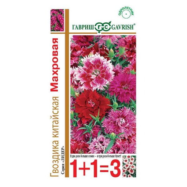 Гвоздика китайская Махровая 1+1  Гавриш Ц 