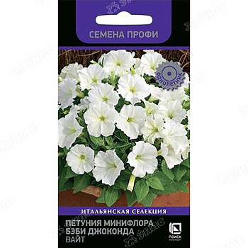 Петуния Бэби Джоконда Вайт Поиск Ц 