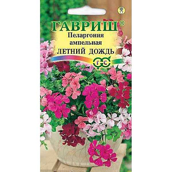 Ком Пеларгония Летний дождь Гавриш Ц 