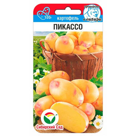 Картофель Пикассо СибСад