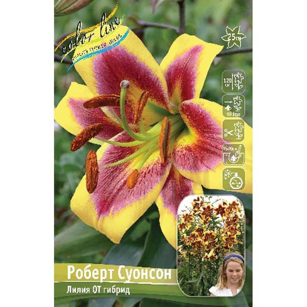 Лилия Роберт Суонсон 12/14 25 шт Биг-пак 10541