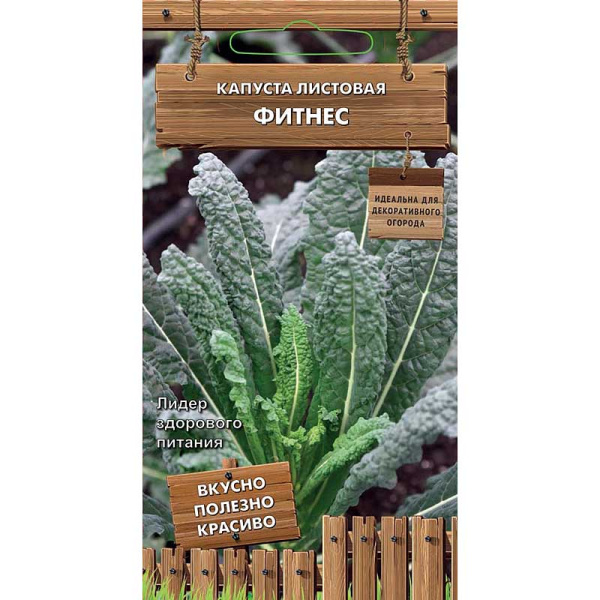 Капуста Фитнес листовая  Поиск Ц