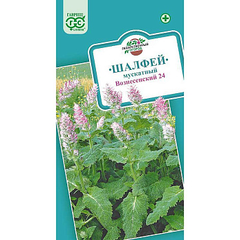 Шалфей Мускатный Вознесенский Гавриш Ц