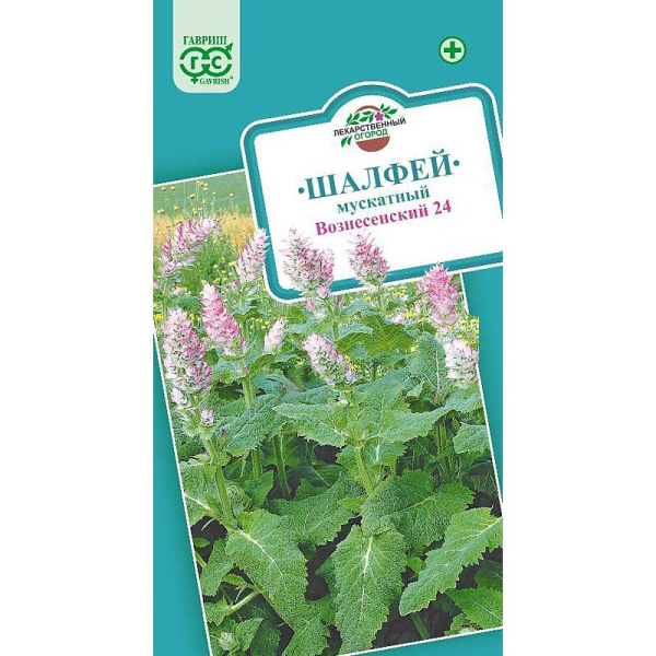 Шалфей Мускатный Вознесенский Гавриш Ц