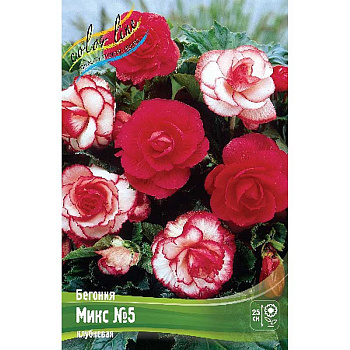 Бегония Микс №5 7/+ 20 шт Шоу-бокс 8784