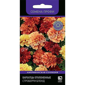 Бархатцы Строберри Блонд Поиск Ц 