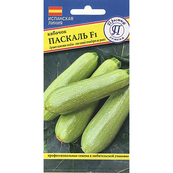 Кабачок Паскаль Престиж Ц