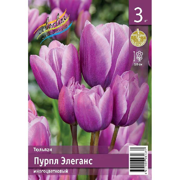 Тюльпан Пурпл Элеганс 11/12 2 шт
