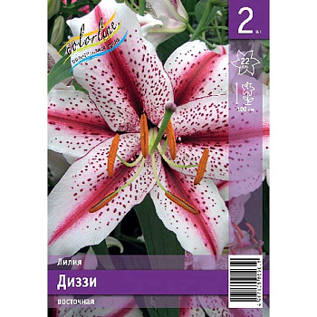 Лилия Диззи 12/14 2 Эконом шт 