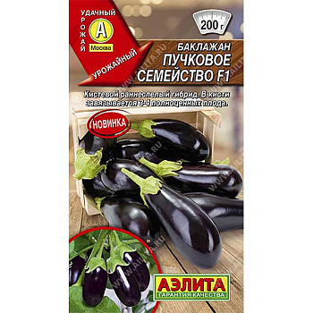 Баклажан Пучковое семейство Аэлита Ц