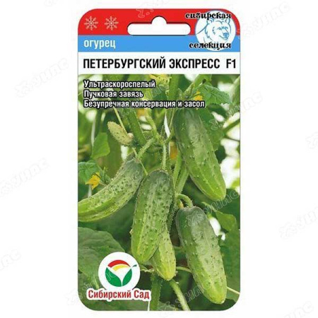 Огурец Петербургский экспресс СибСад Ц