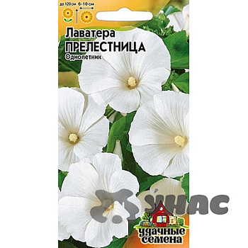 Лаватера Прелестница Удач сем Гавриш Ц 