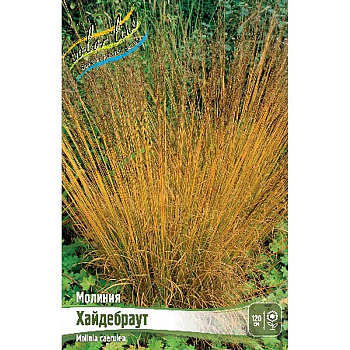Молиния Хайдебраут 2/3 25 шт Биг-Пак 4661