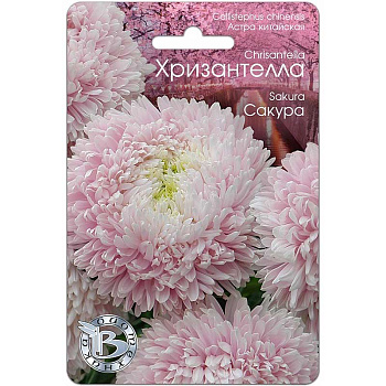 Астра Хризантелла Сакура Биотехника Ц 